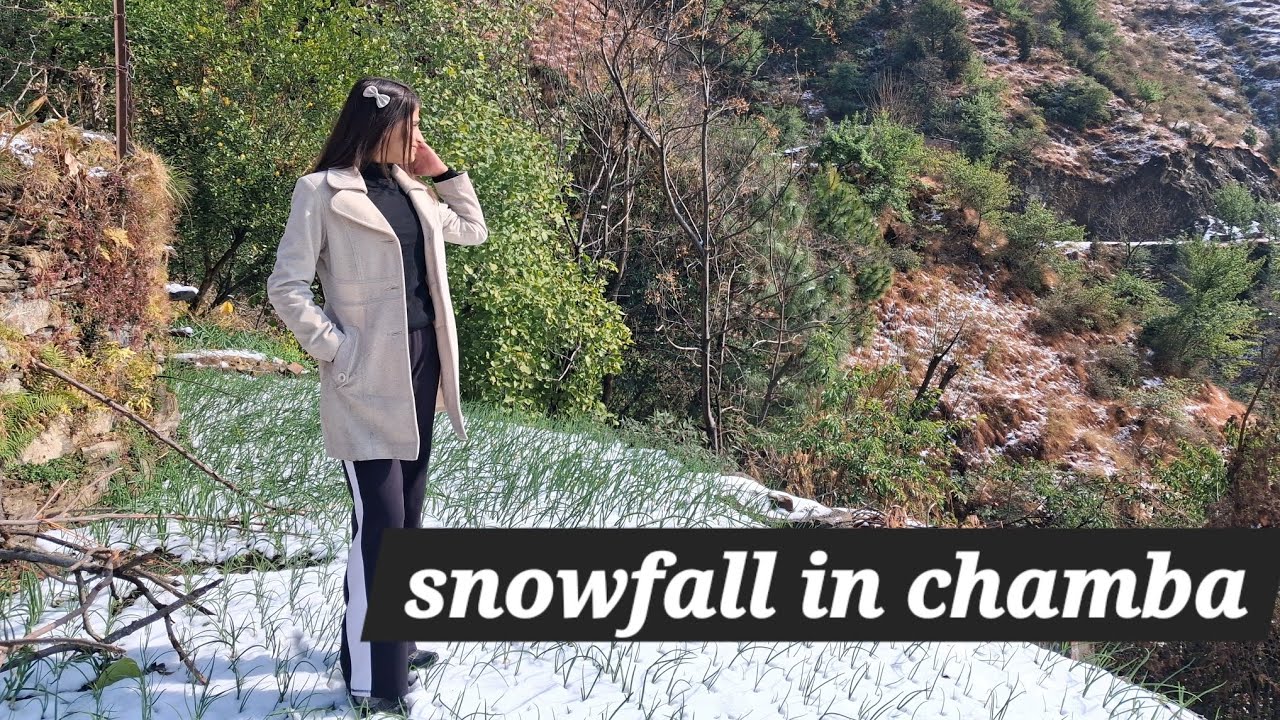 Snowfall in telka valley of chamba #minivlog #snowfall #viralvideo #himachalwheather ##chamba #rain