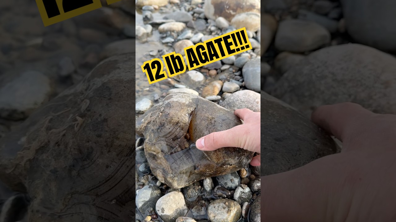 The Agate Find Of A Lifetime!!! #gemstones