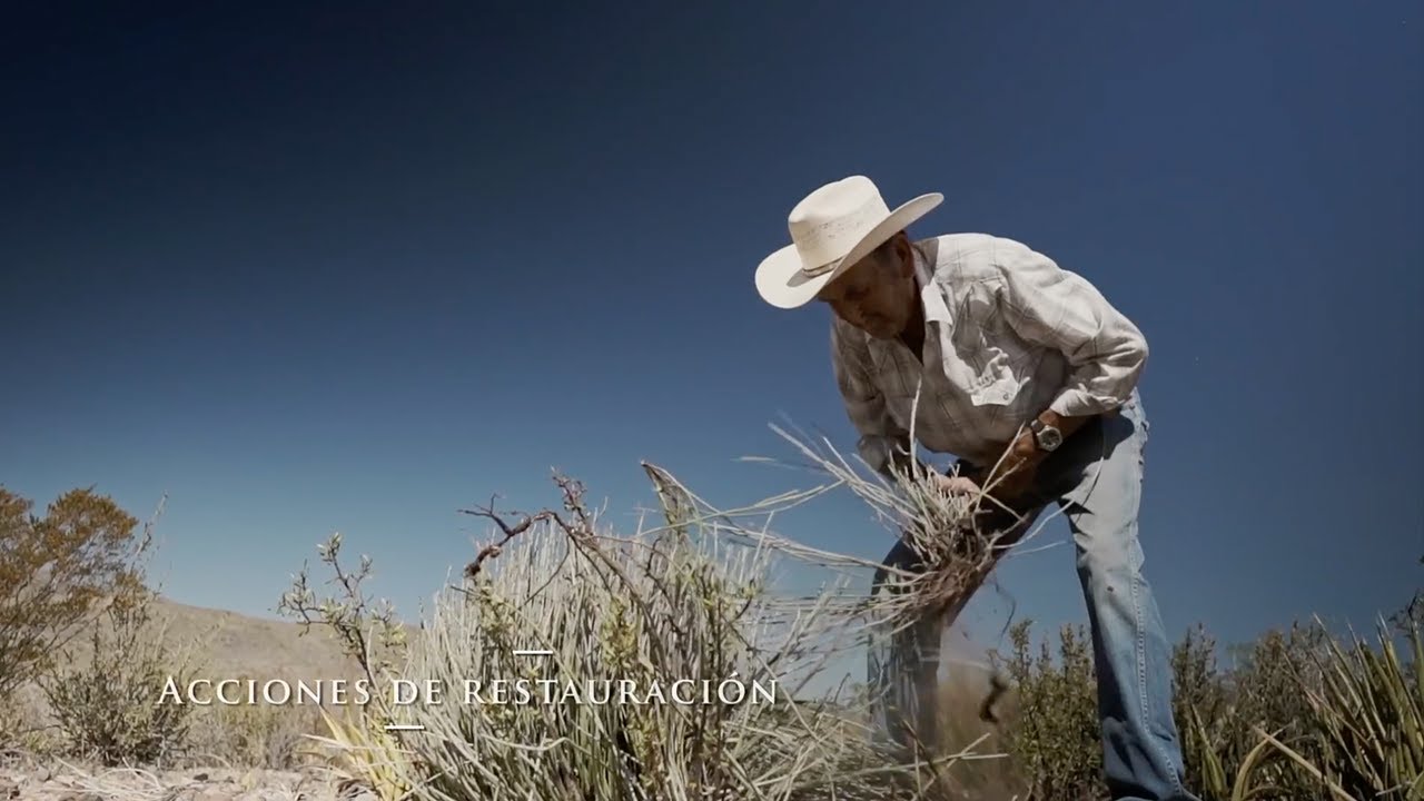 Semidesierto Vivo: Un Llamado a la Acci&oacute;n por la Conservaci&oacute;n Ambiental