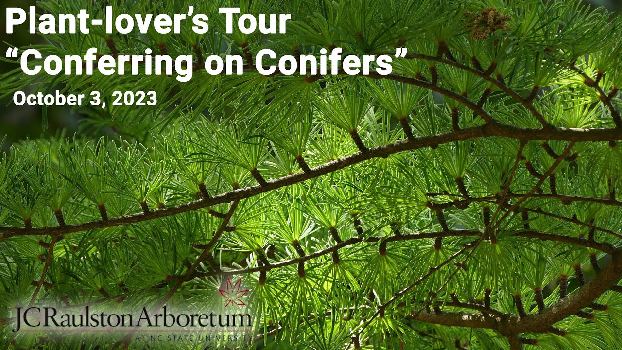 Plant-lover's Tour - 