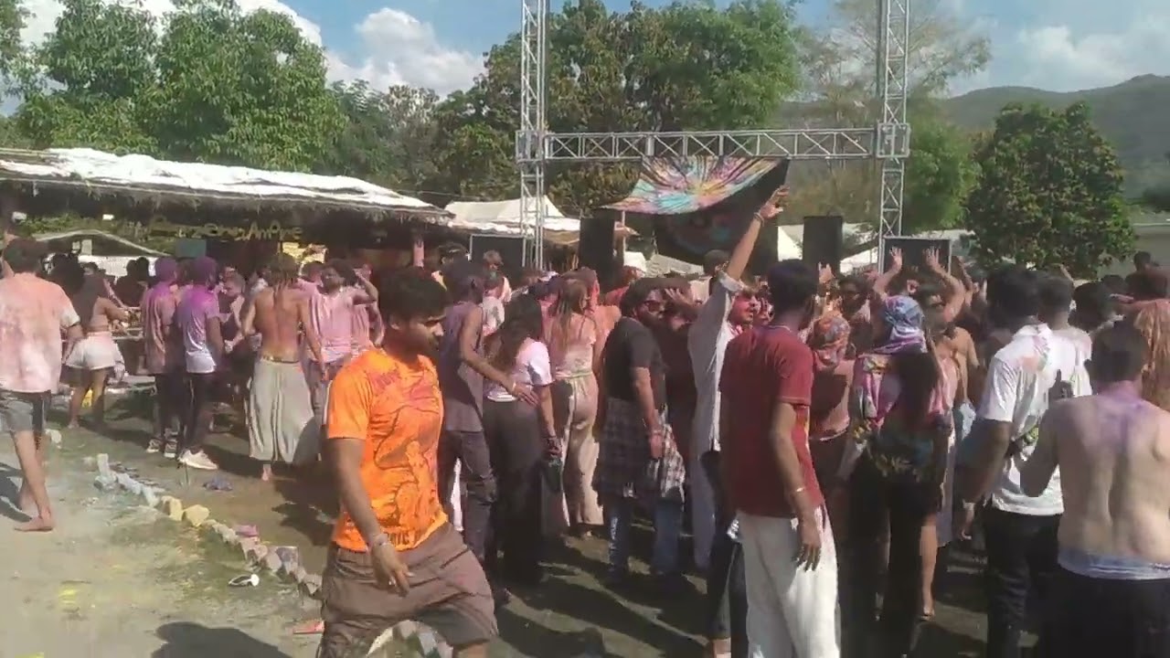 pushkar holi party full power br swimming pool and resort