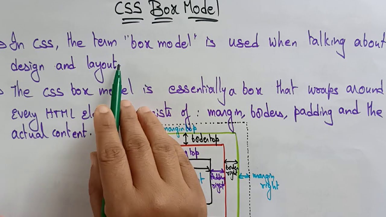 CSS box model | WT | Web Technology | Lec-18 | Bhanu Priya