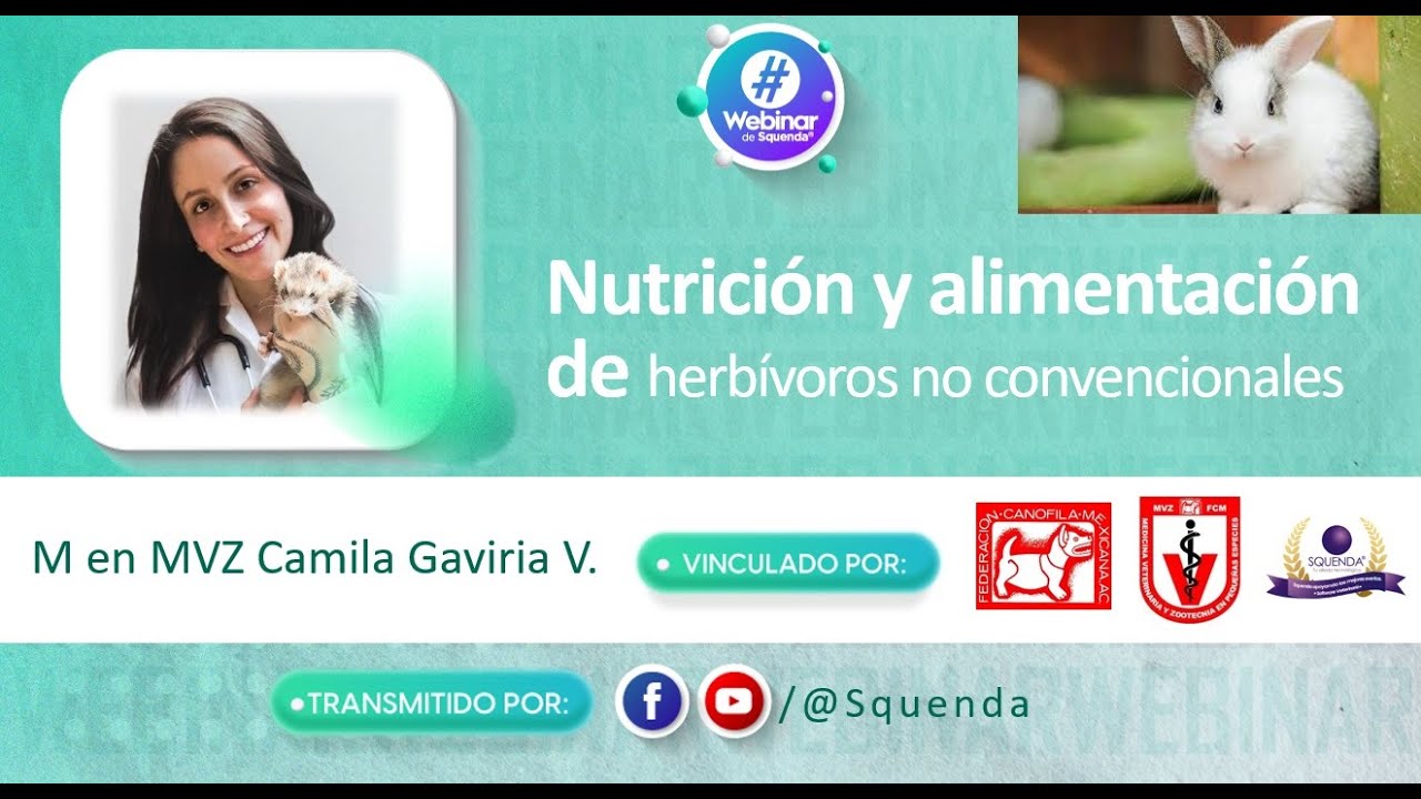 Nutrición y alimentación de herbívoros no convencionales - M en MVZ Camila Gaviria V.
