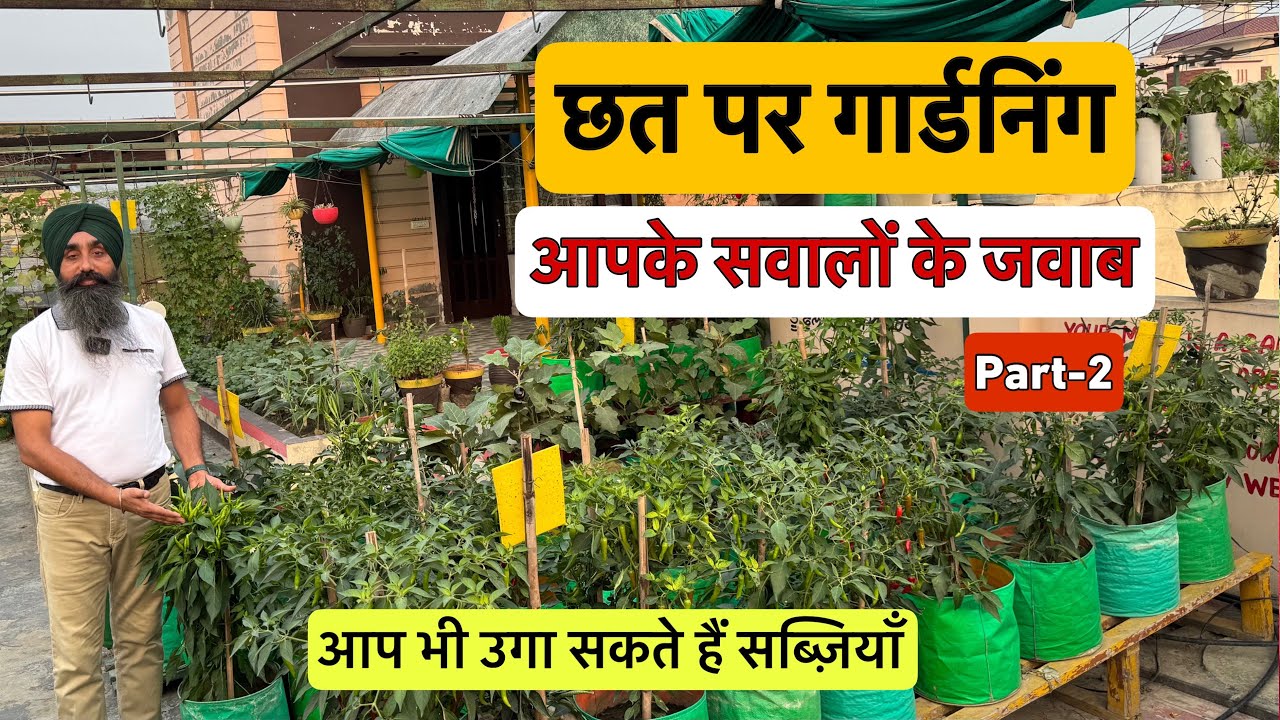 Chatt par Gardening || Aapke Sawalo ke Jwaab || Terrace kitchen Gardening || Part 2