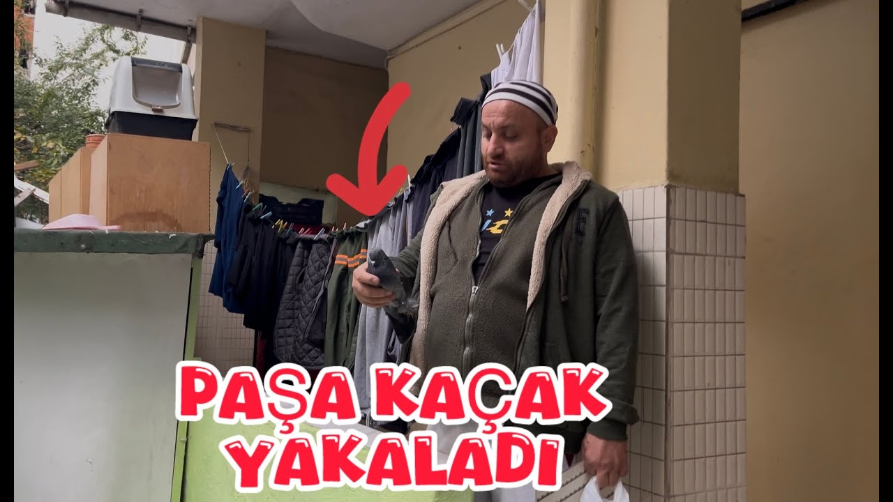 SEZGİN KAÇAK GÜVERCİN YAKALADIM ( DUMANLI )