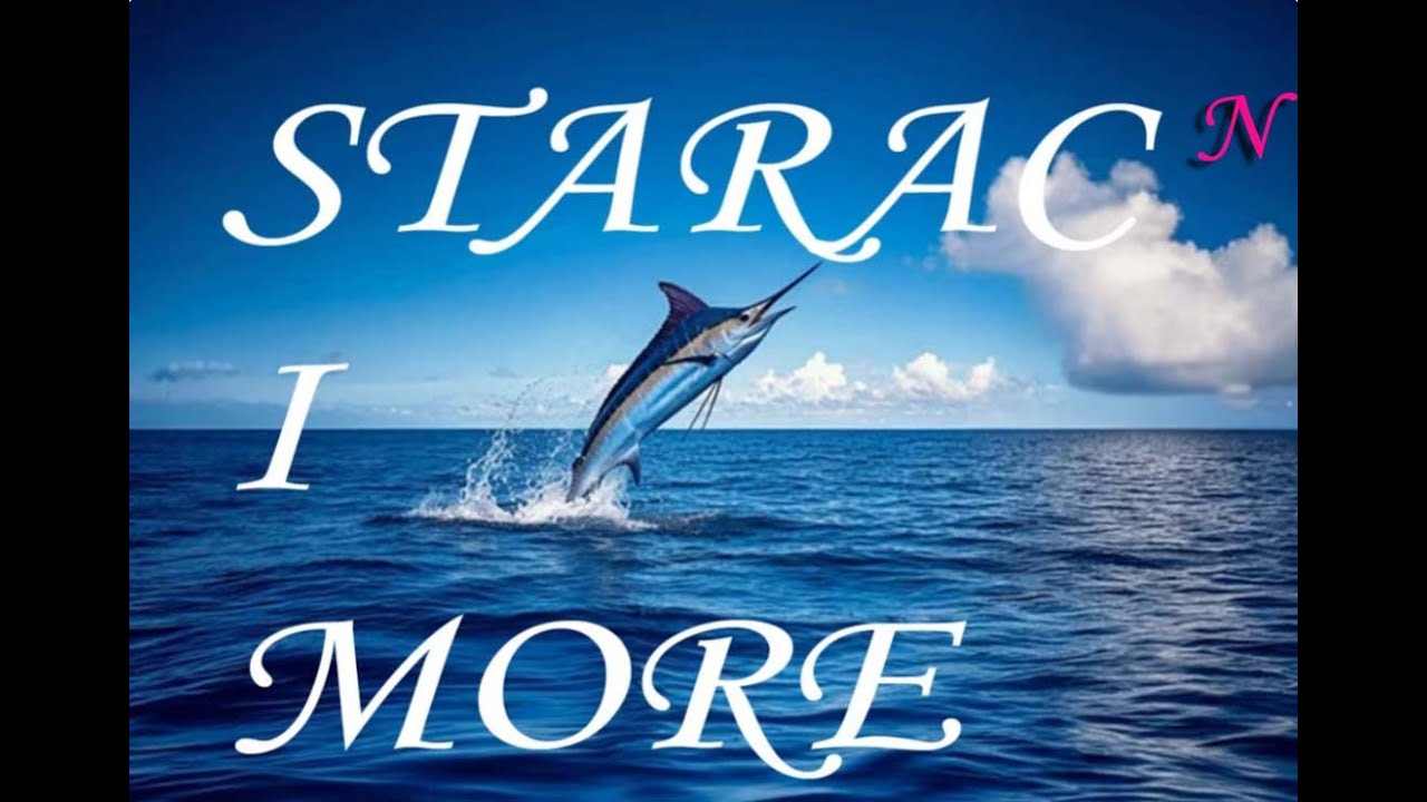 STARAC I MORE - E. Hemingvej - Audio knjiga - Ernest Hemingway