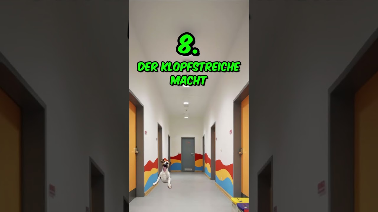 Nr. 14 war ich 😓 Klassenfahrten in der Schule sind immer lustig Arten von Sch&uuml;lern