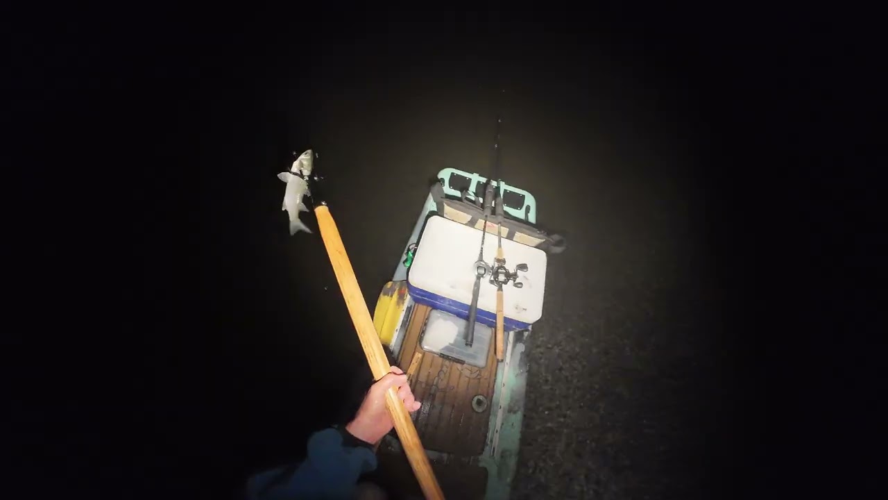 Fishing the Bayou and Gigging Mullet