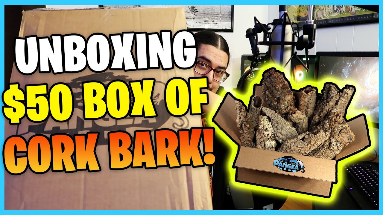 Pangea Cork Bark Review! 5lb box of Cork Bark from Pangea Reptiles