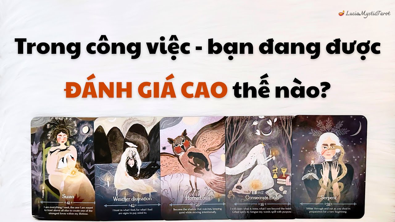 🪔 Bạn đang được đánh giá cao như thế nào trong công việc? | Chọn tụ bài tarot (timeless)