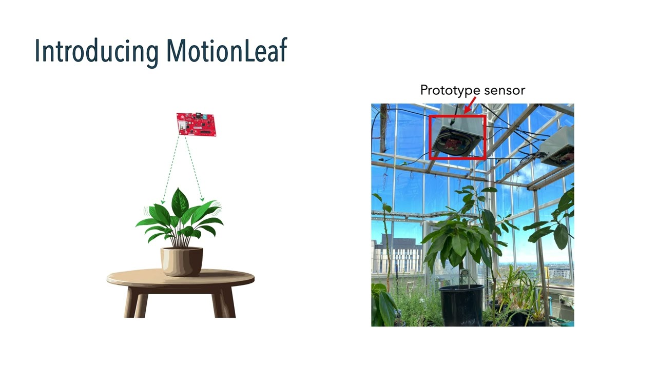 MotionLeaf: Fine-grained Multi-Leaf Damped Vibration Monitoring for Plant Water Stress