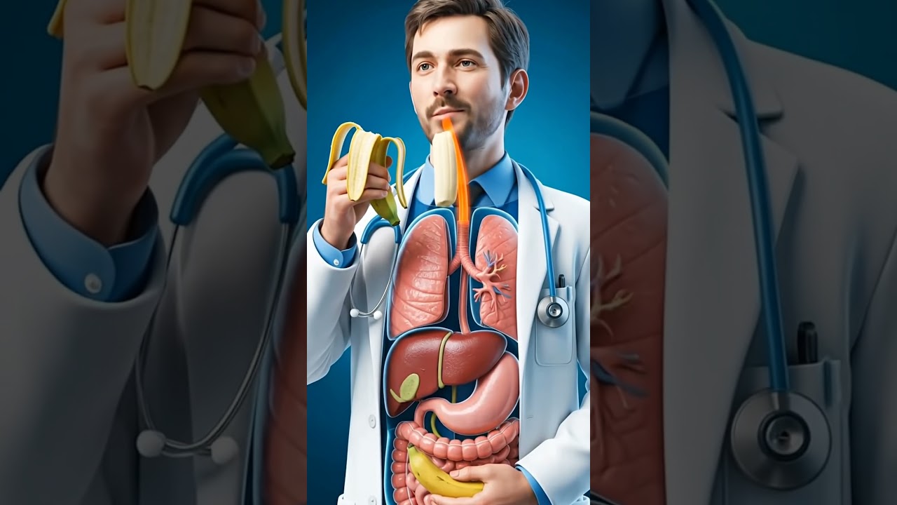 3D Human Body Eating | Amazing AI Science Experiment#3danimation #digestiveprocess