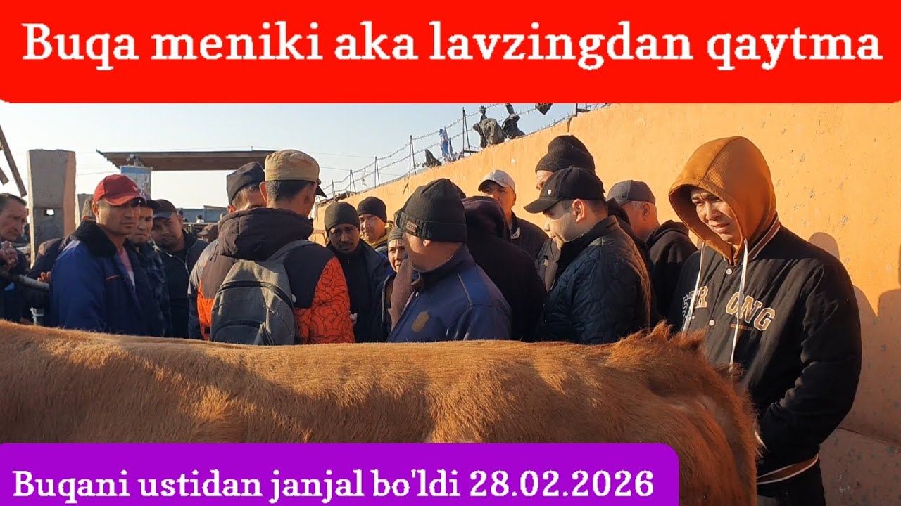 Buqa meniki narxni o'zim qo'yaman aytilgan gap lavzingdan qaytma aka 28.02.2026