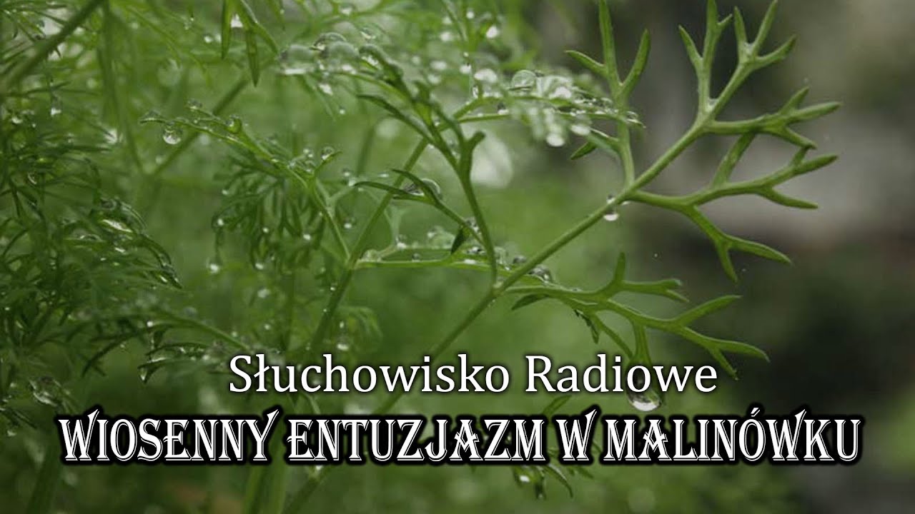Wiosenny entuzjazm w Malinówku | Marek Ławrynowicz | Słuchowisko Radiowe