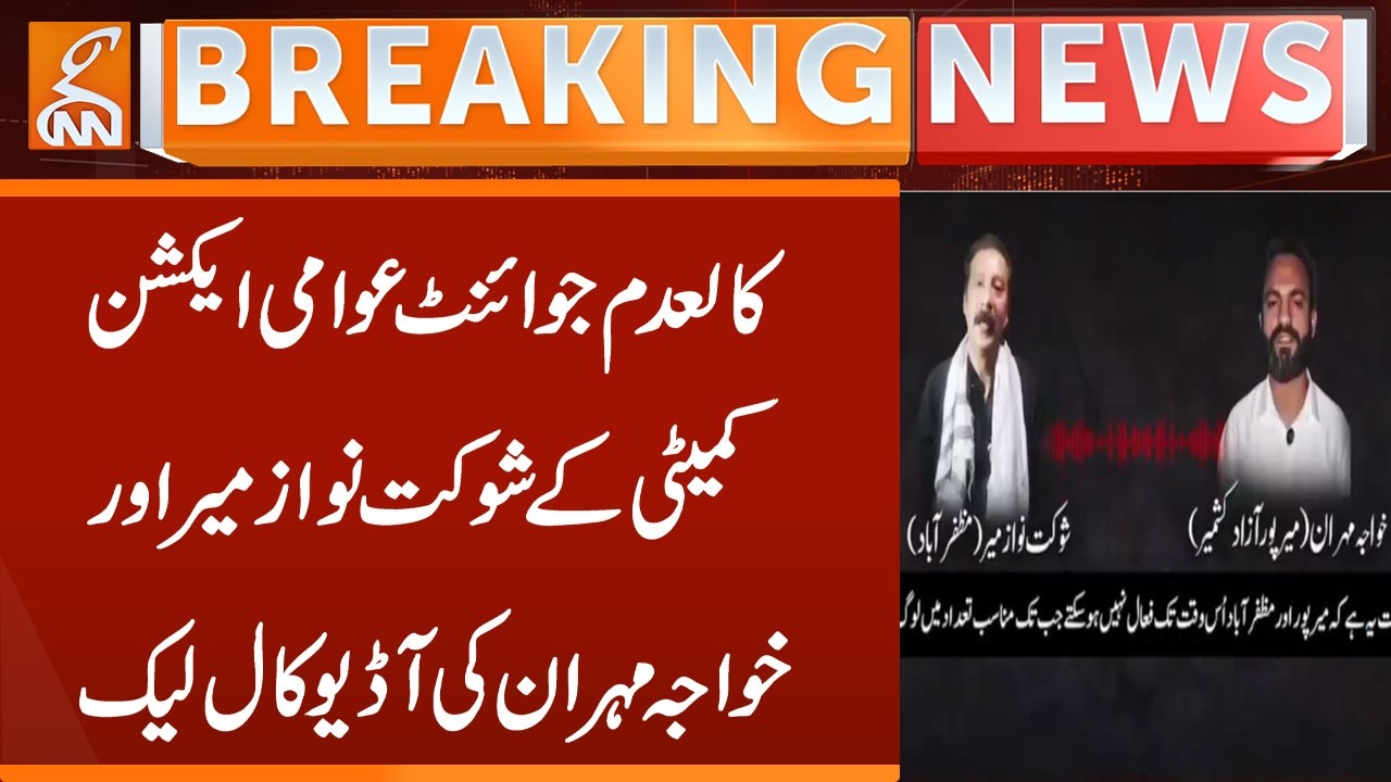 Shocking Leak! Audio Call of JAAC Leaders Shaukat Nawaz Mir & Khawaja Mehran Exposed | GNN