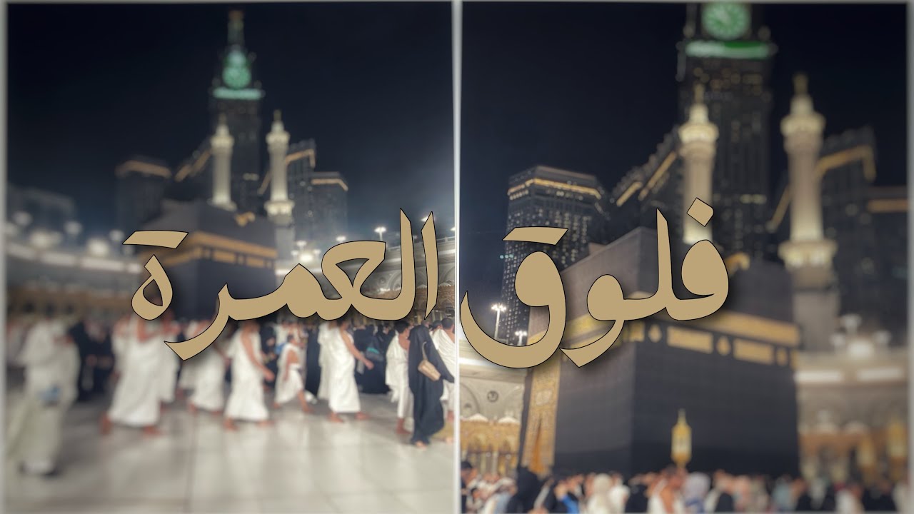 فلوق العمرة | اعتمرت نهاية شهر ذي القعدة ١٤٤٦ هـ | قطار الحرمين | عمرة قبل بداية موسم الحج