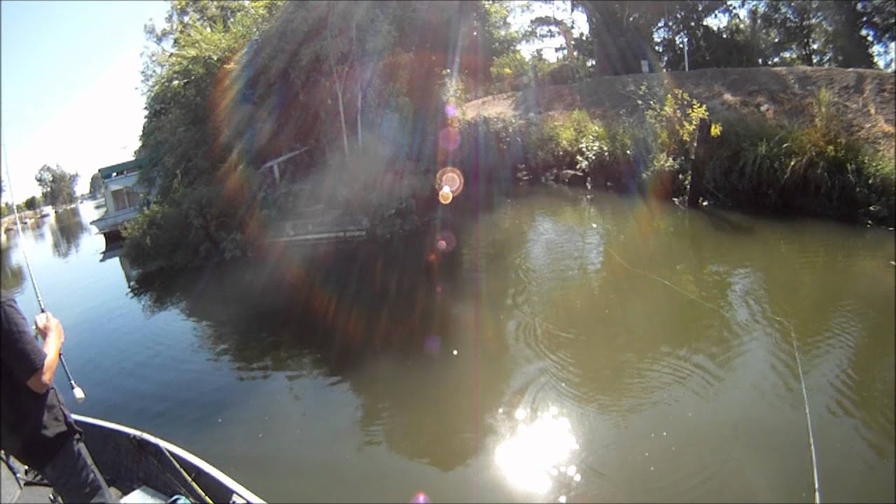 california delta 8-15&17