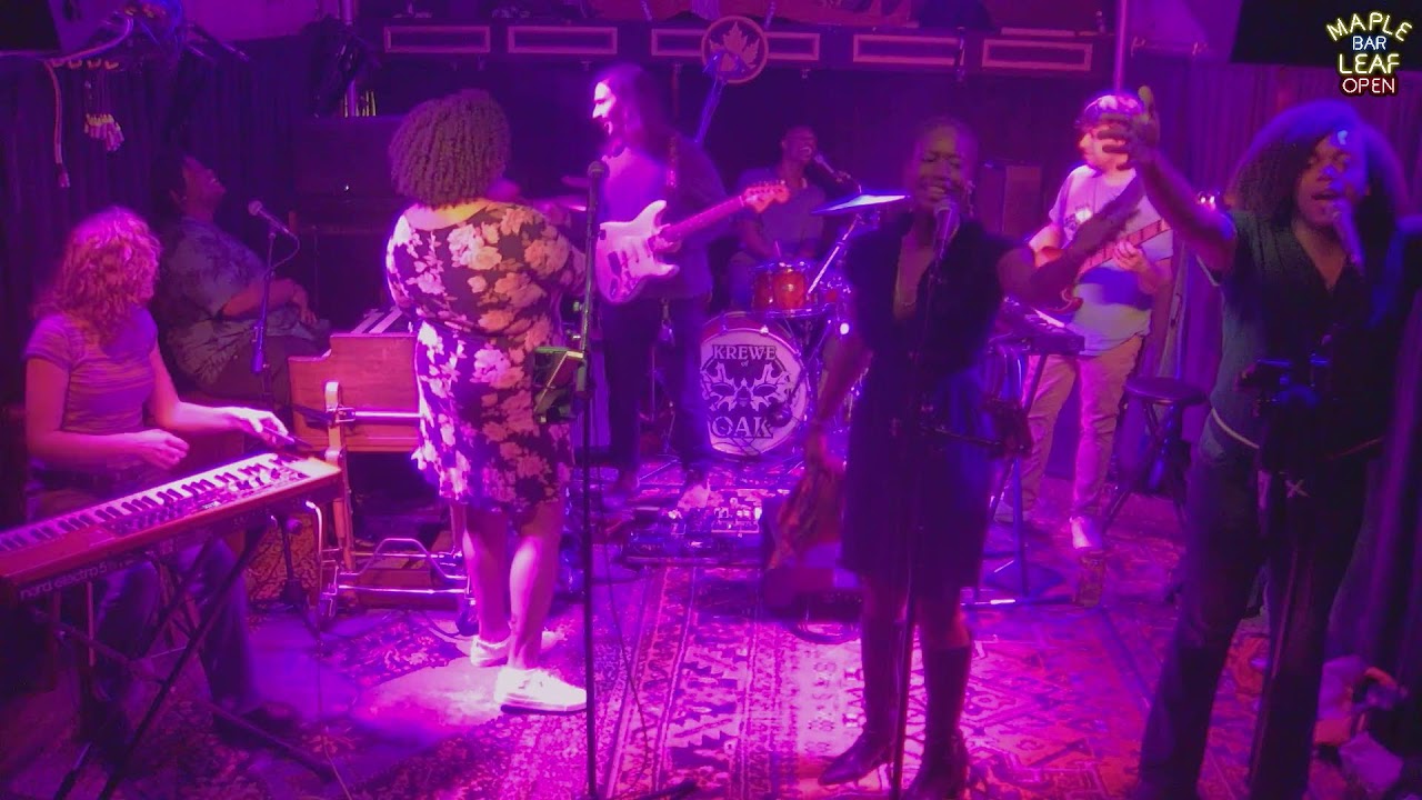 Higher Ground - 03/01/2026 - Maple Leaf Bar Live