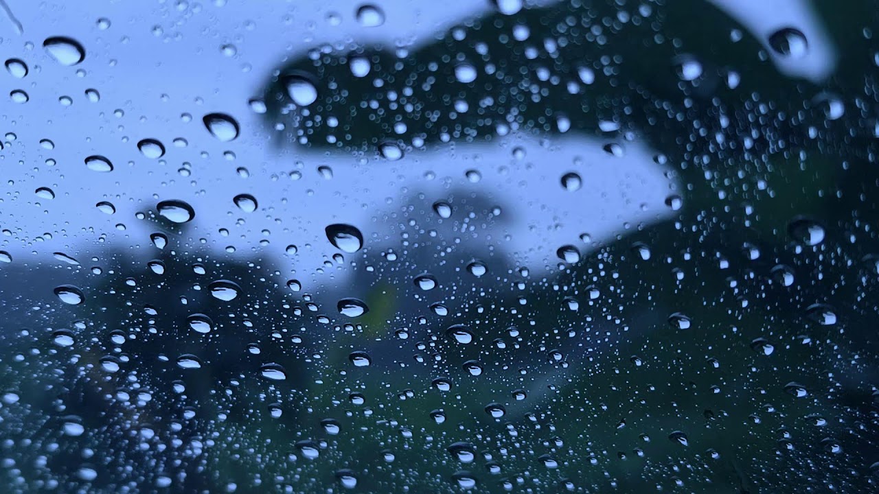Autumn Rain. The sound of rain falling outside the window helps you relax and fall into a deep sleep