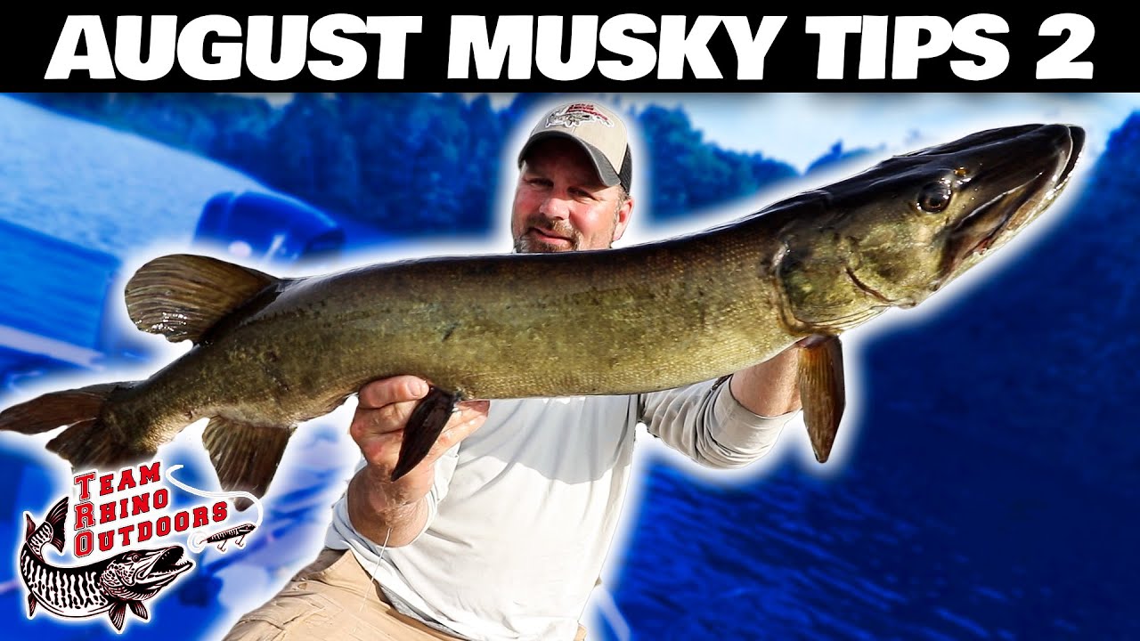 August Musky Tips 2 - Musky Fishing Basics