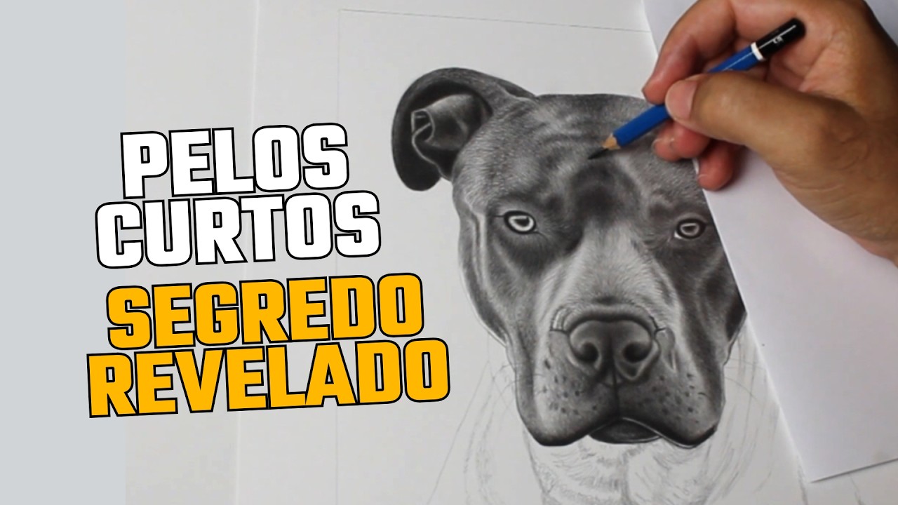 [ SEGREDO REVELADO ] Como Desenhar Pelos Curtos de Animais - Passo a Passo