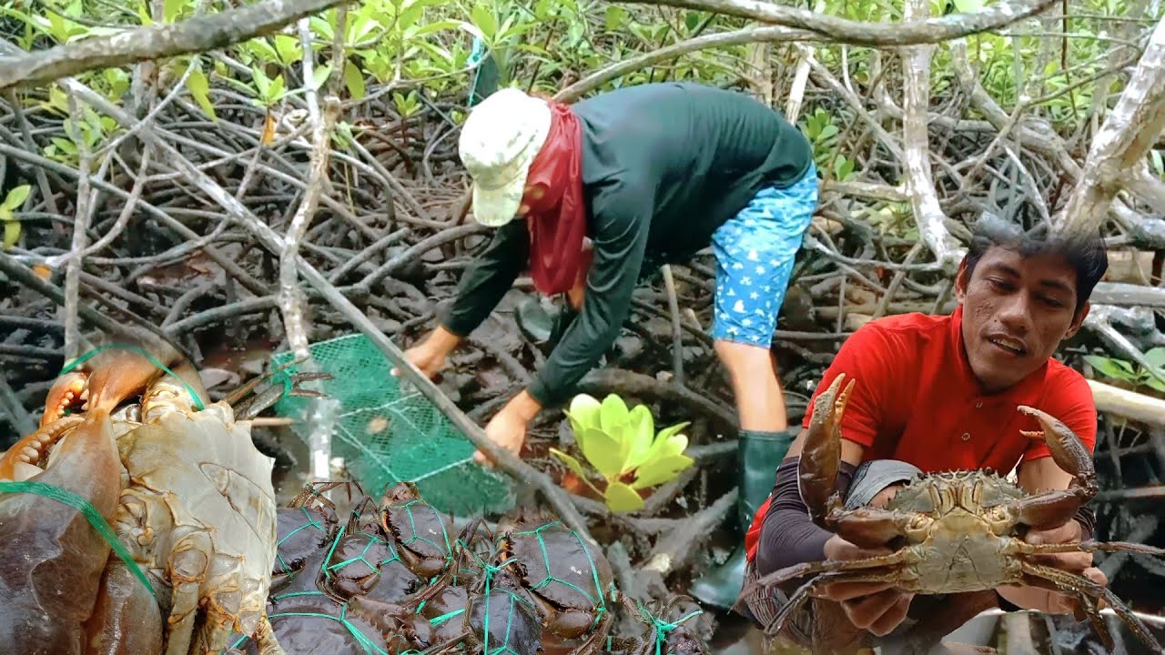 PANGHUHULI NG ALIMANGO SA BAKAWAN, ISLA KUNG SAAN BINABALIK BALIKAN NAMIN