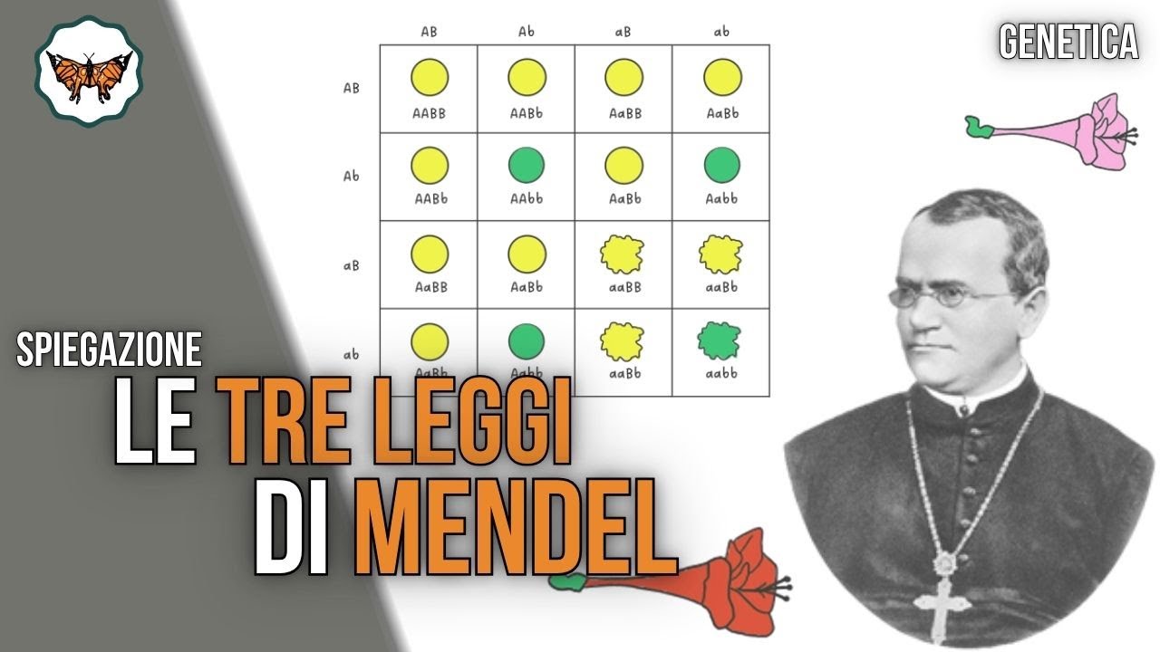 Le tre leggi di Mendel