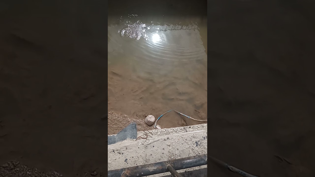 #homefishing