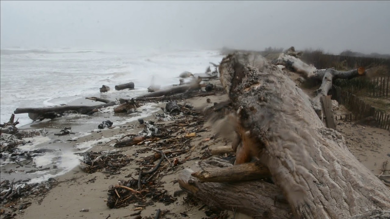 Plage des Cabanes de Fleury 22 fev 2021