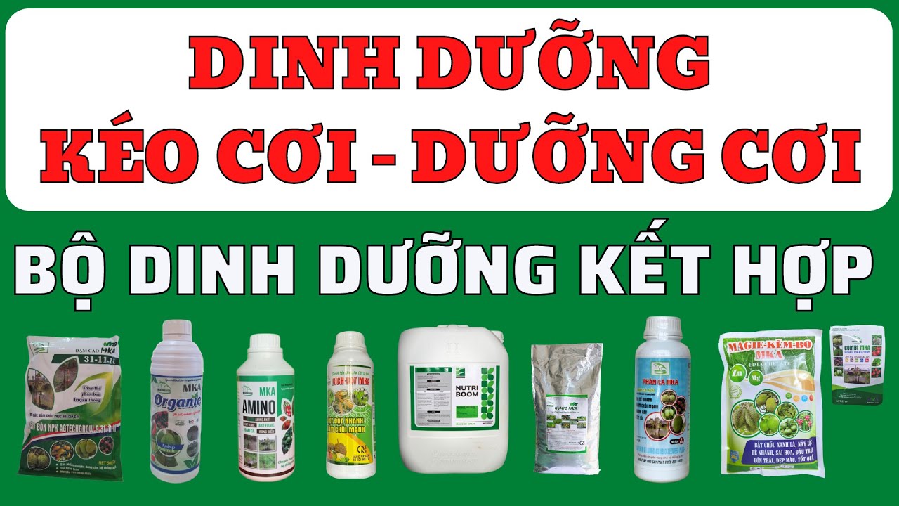 K&eacute;o đọt Dưỡng đọt: Bộ dinh dưỡng Mekongagri cho c&aacute;c lần phun ph&aacute;t triển cơi đọt
