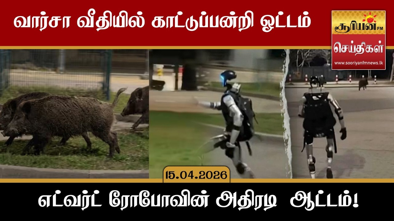 வார்சா வீதியில் காட்டுப்பன்றி ஓட்டம்  -   எட்வர்ட் ரோபோவின் வேட்டை ஆட்டம்!