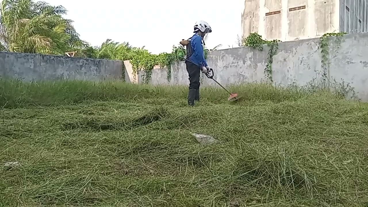 Potong Rumput Saat Puasa