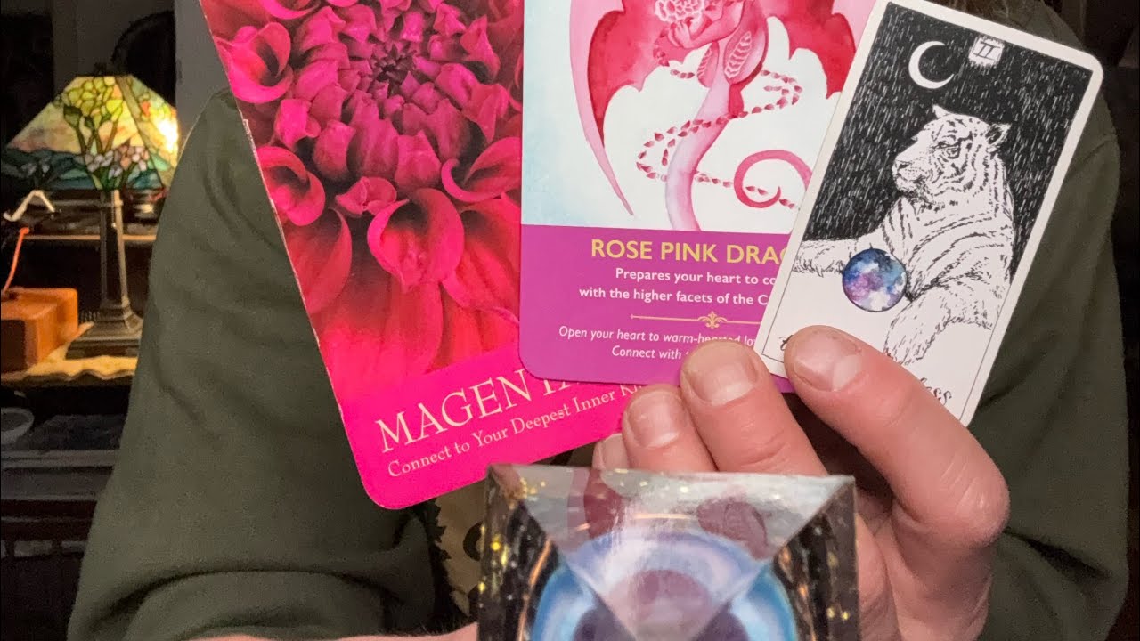 You’ve Shifted, Perspective And Frequency! & Potentially A Higher Heart Activated 🤓🍄🐍🦄🚀🦅🐦‍🔥🗝️👑🌈🦉🌍🌎