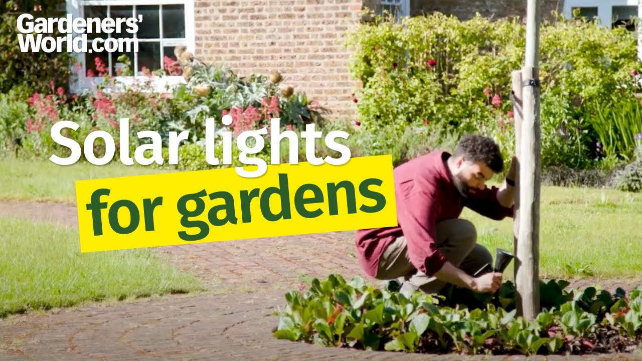 Solar lights for gardens - Buyer's Guide from BBC Gardeners' World Magazine