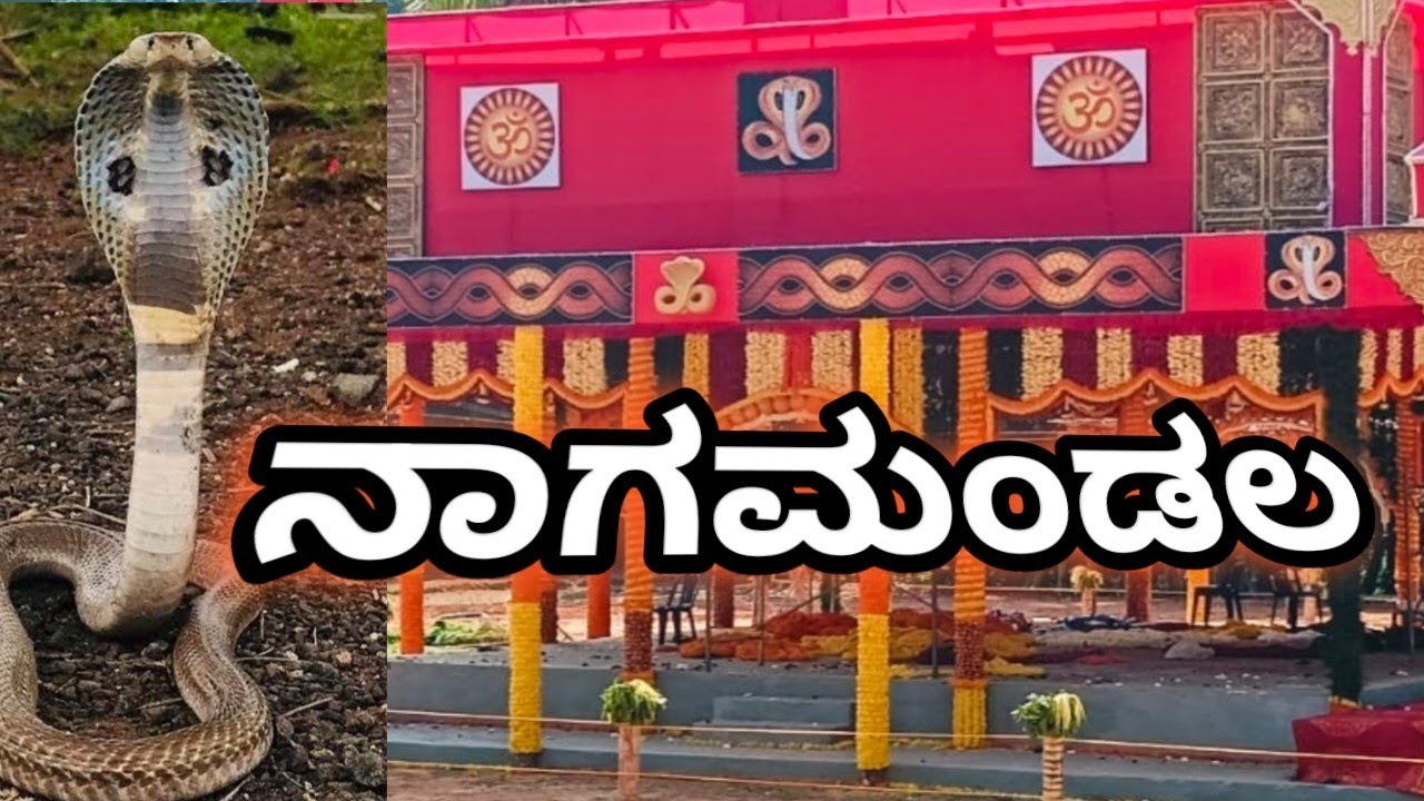 ಕೊಕರ್ಣೆ ನಾಗಮಂಡಲ🙏🐍⚕️,//kokkarne nagamandala