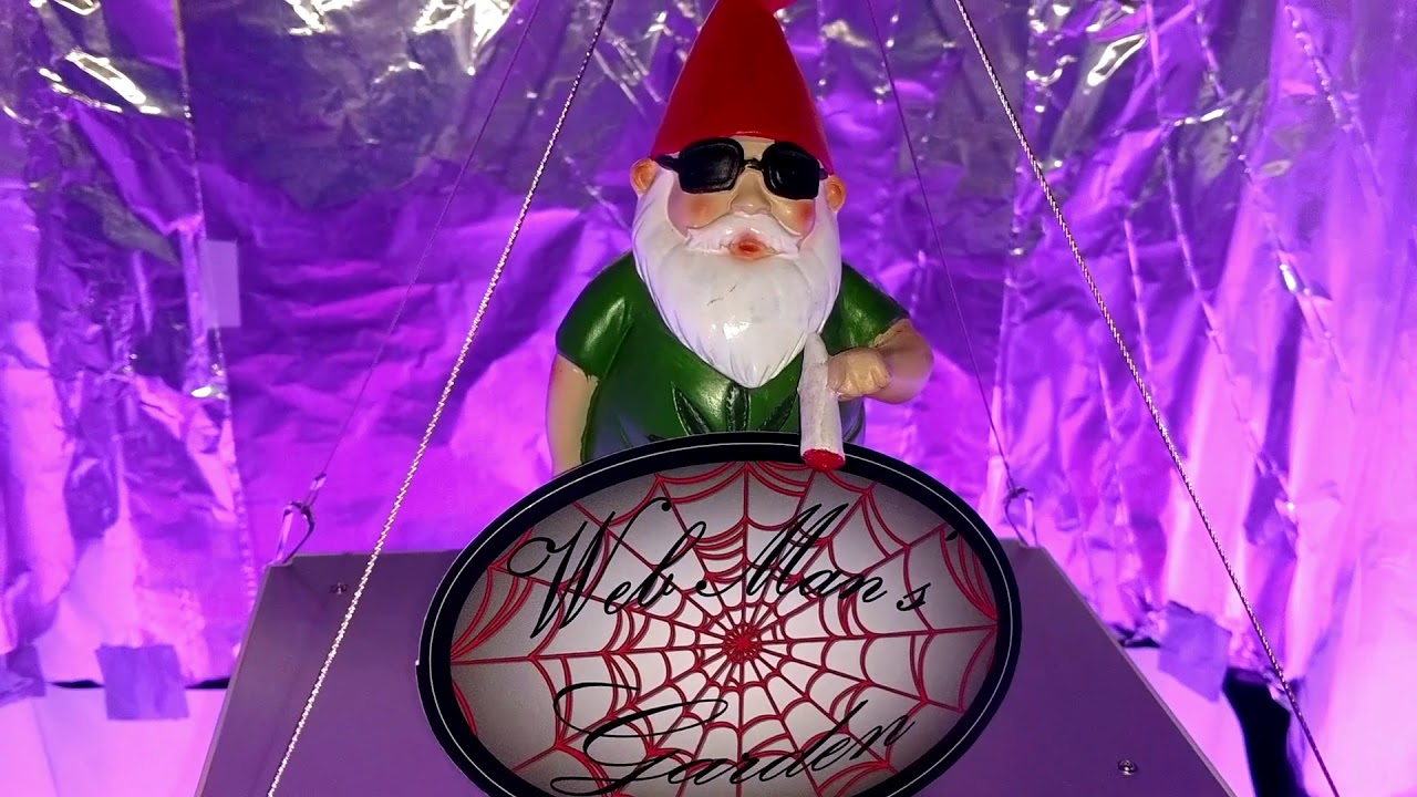 21 and Older!! Thanks WebMans Garden and Y-GROW!!