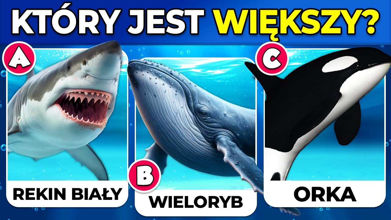 ✅ Jak Dobra Jest Twoja Wiedza o ZWIERZĘTACH MORSKICH? 🐳🐬🐠 Quiz Wiedzy Ogólnej