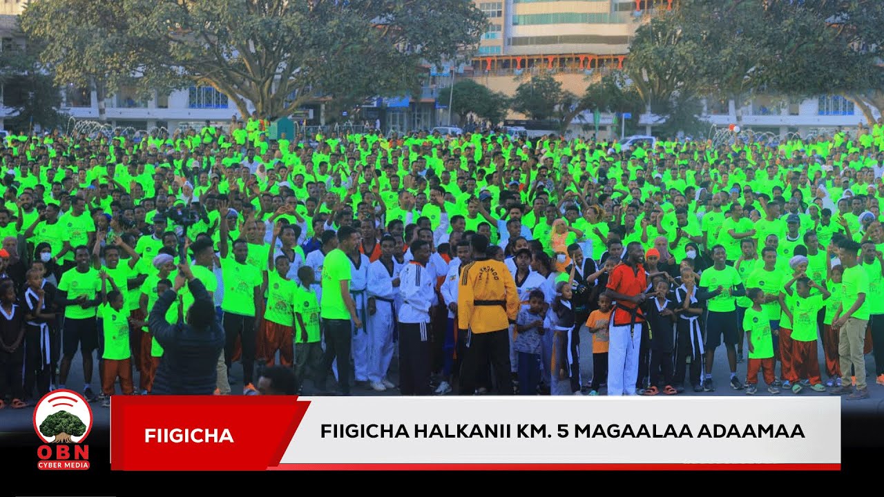 Fiigicha Halkanii Adaamaa