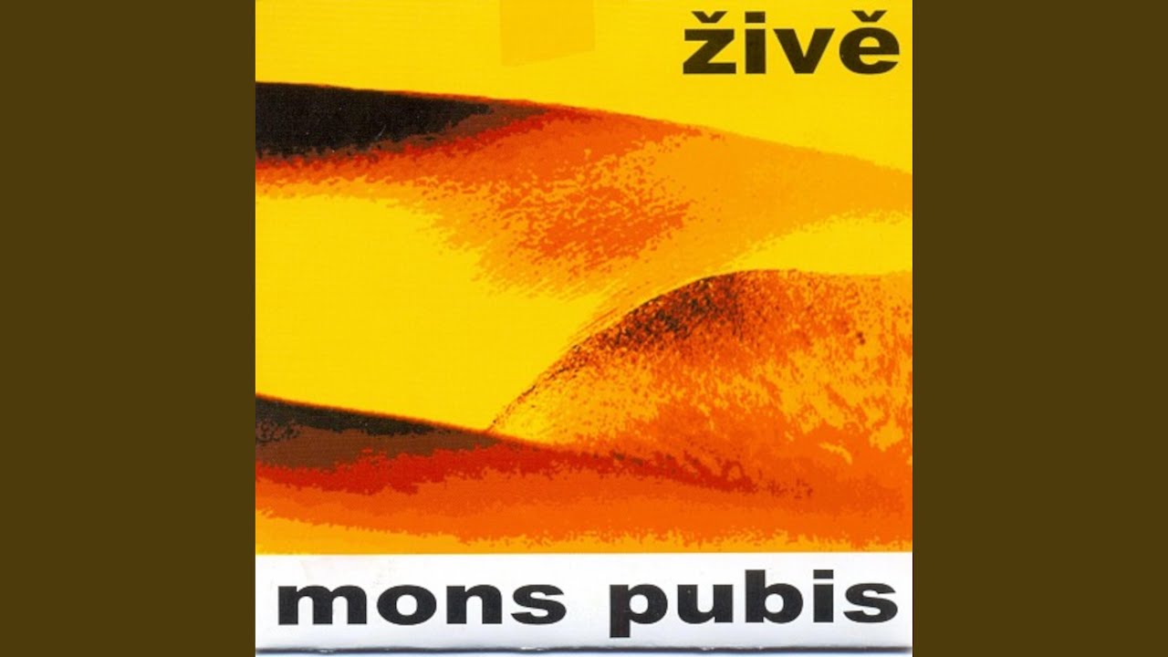 Pt&aacute;ci v letu (Solnice live)