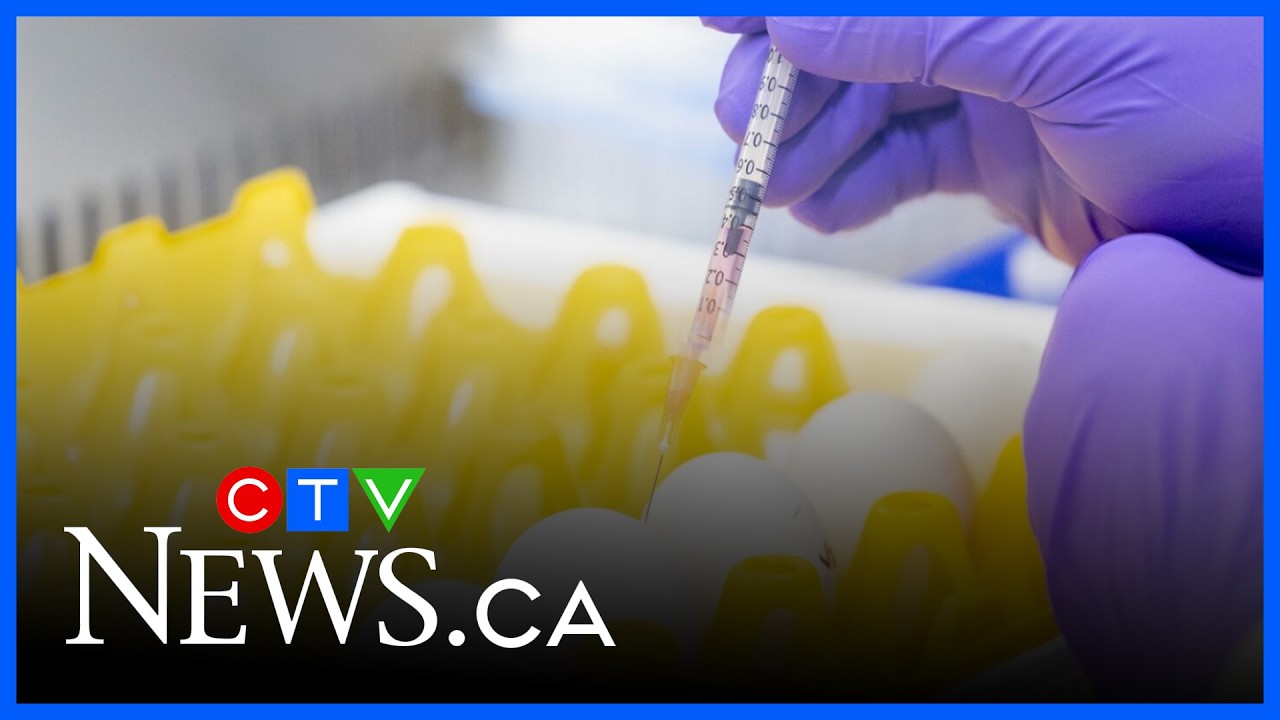 Canada to receive half a million doses of bird flu vaccine