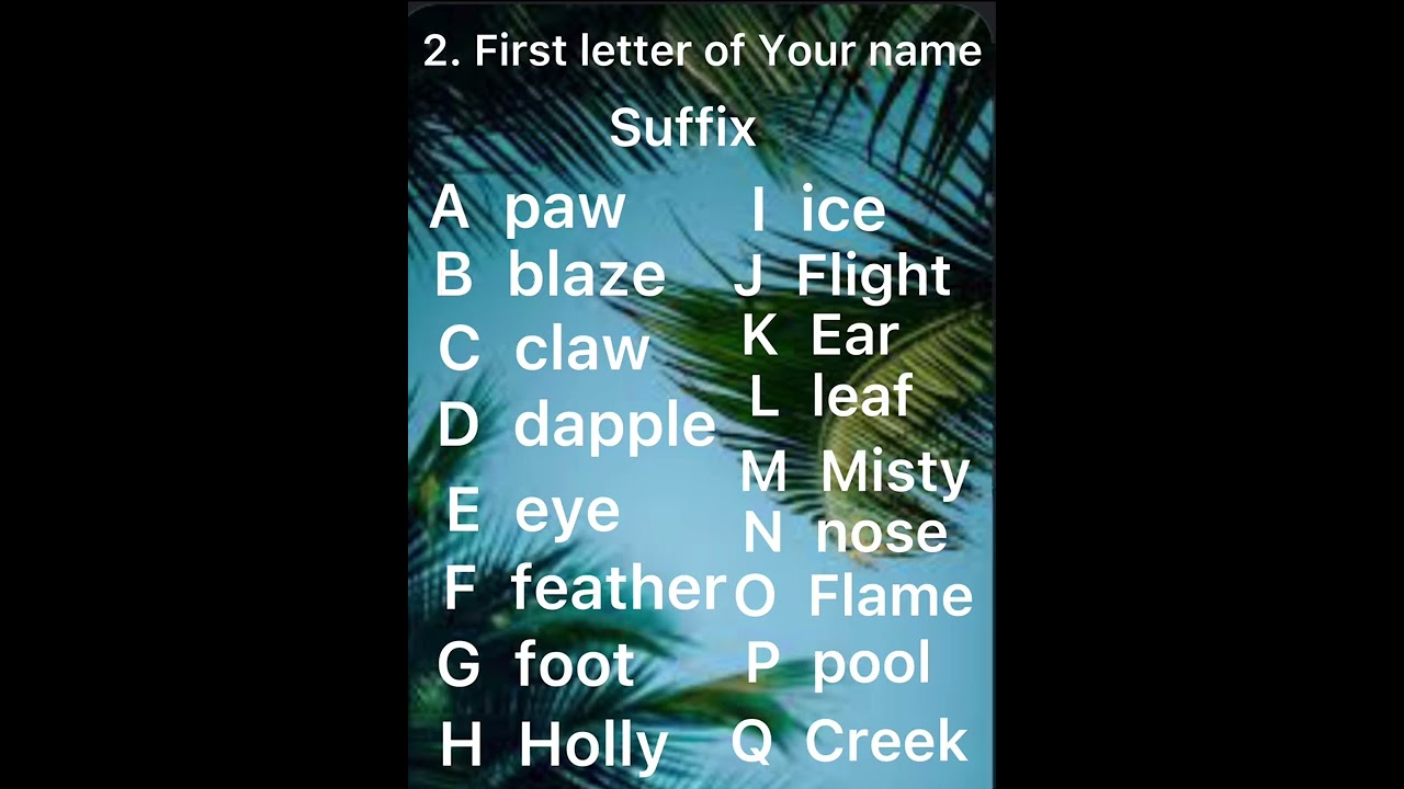 Warrior cats name and clan generator!!