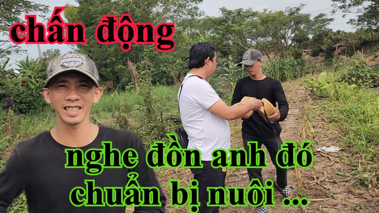 Chấn động nghe đồn anh đó chuẩn bị nuôi ...