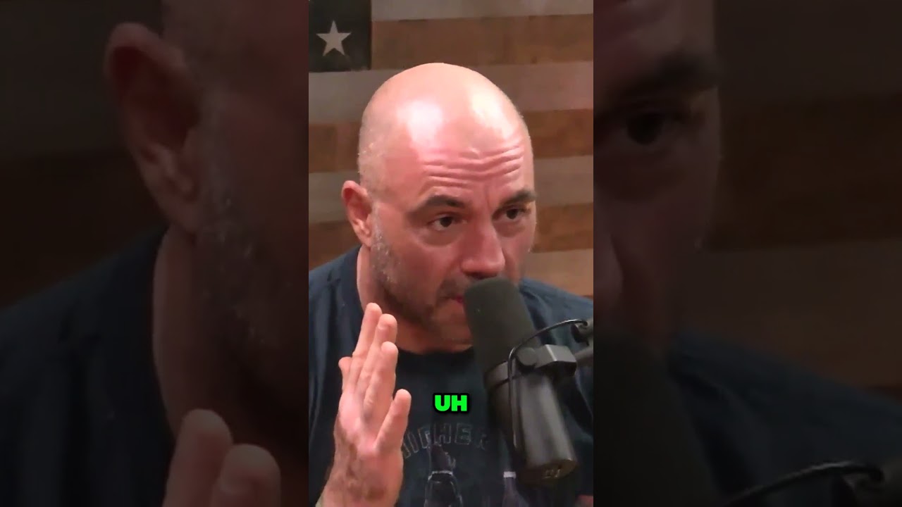Joe Rogan on Fungal Intelligence #podcast #joerogan #interview
