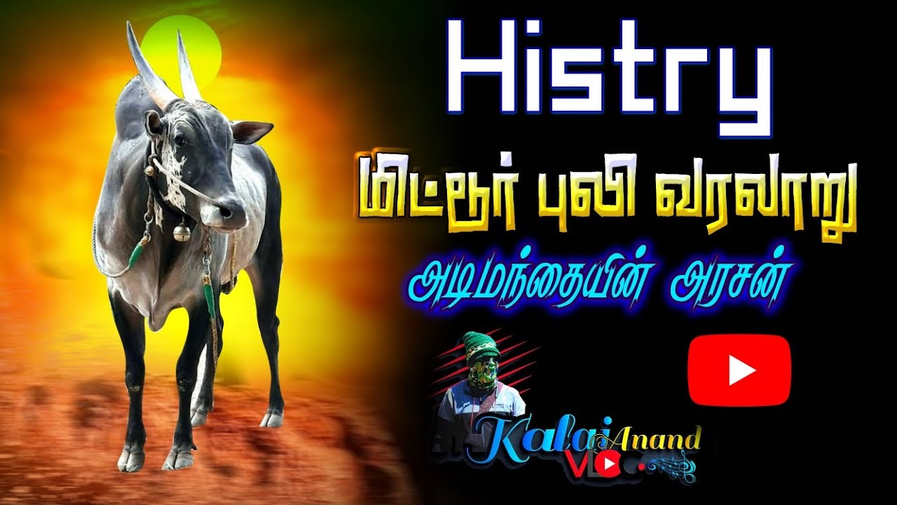 மிட்டூர் புலி வரலாறு அடி மந்தையின் அரசன் mittur puli History Eruthukattu