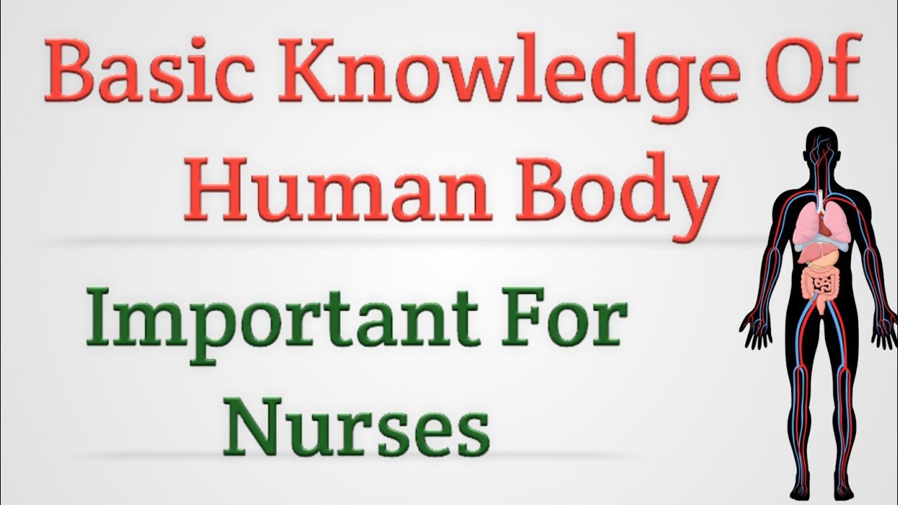 Basic Knowledge Of Human Body (Important For Nurses)