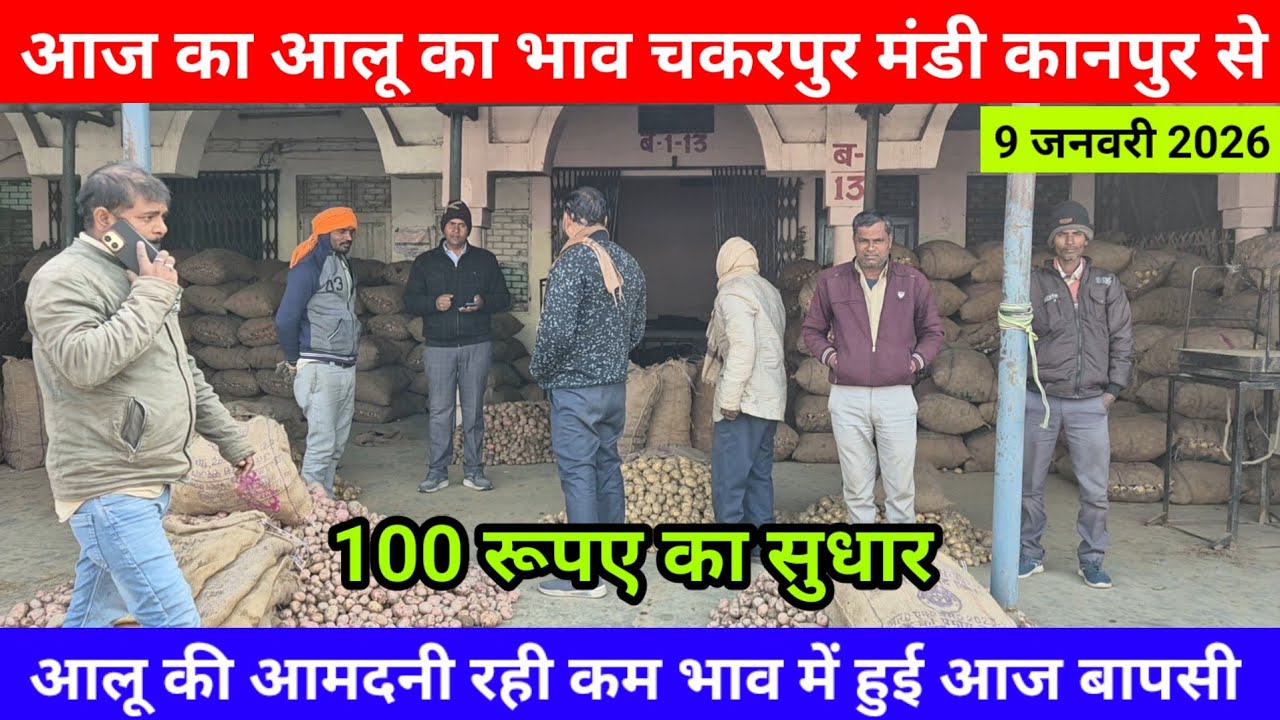 9 जनवरी 2026 आज का आलू का भाव चकरपुर मंडी कानपुर से आमदनी रही कम भाव में हुई आज बापसी Aalu Ka Bhav
