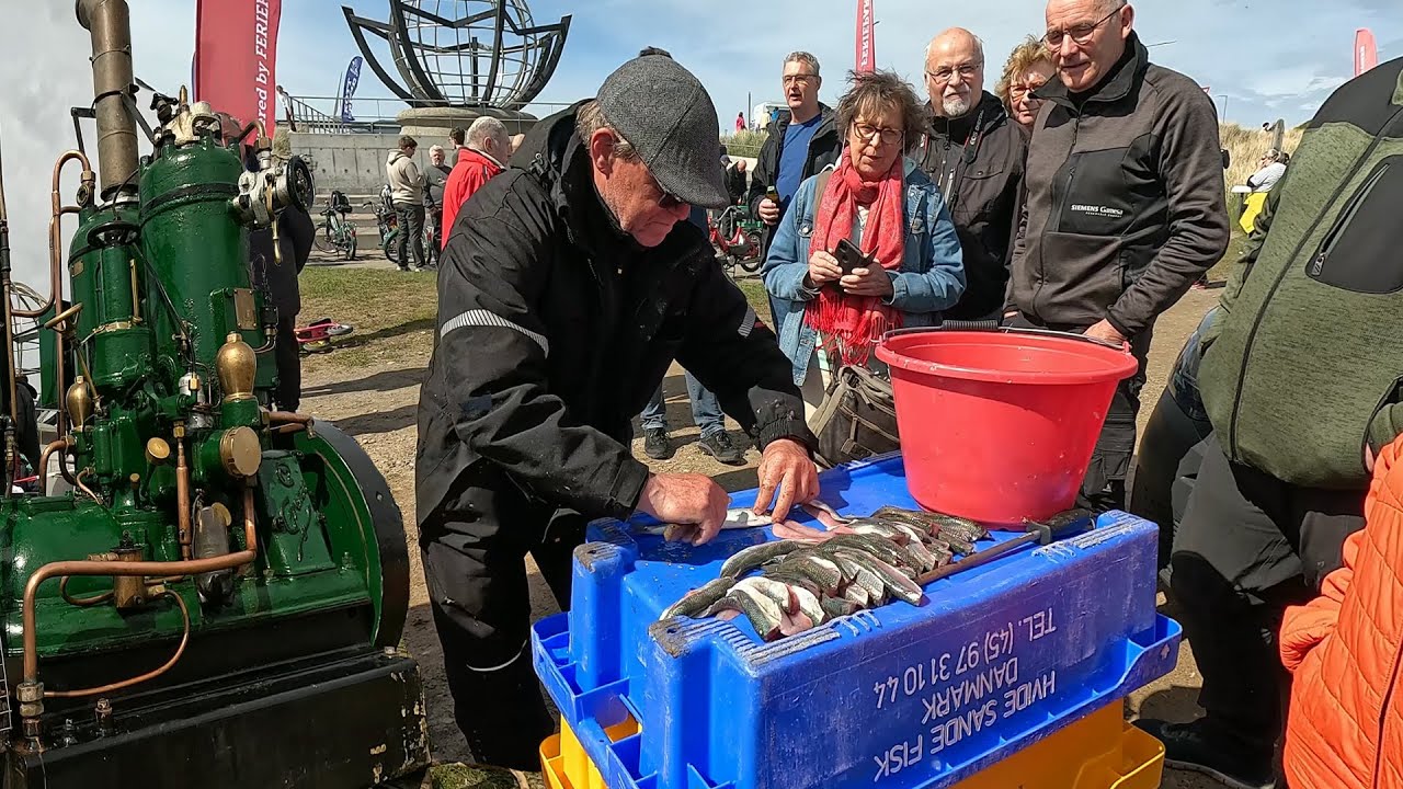 Sildefestival Hvide Sande 2024