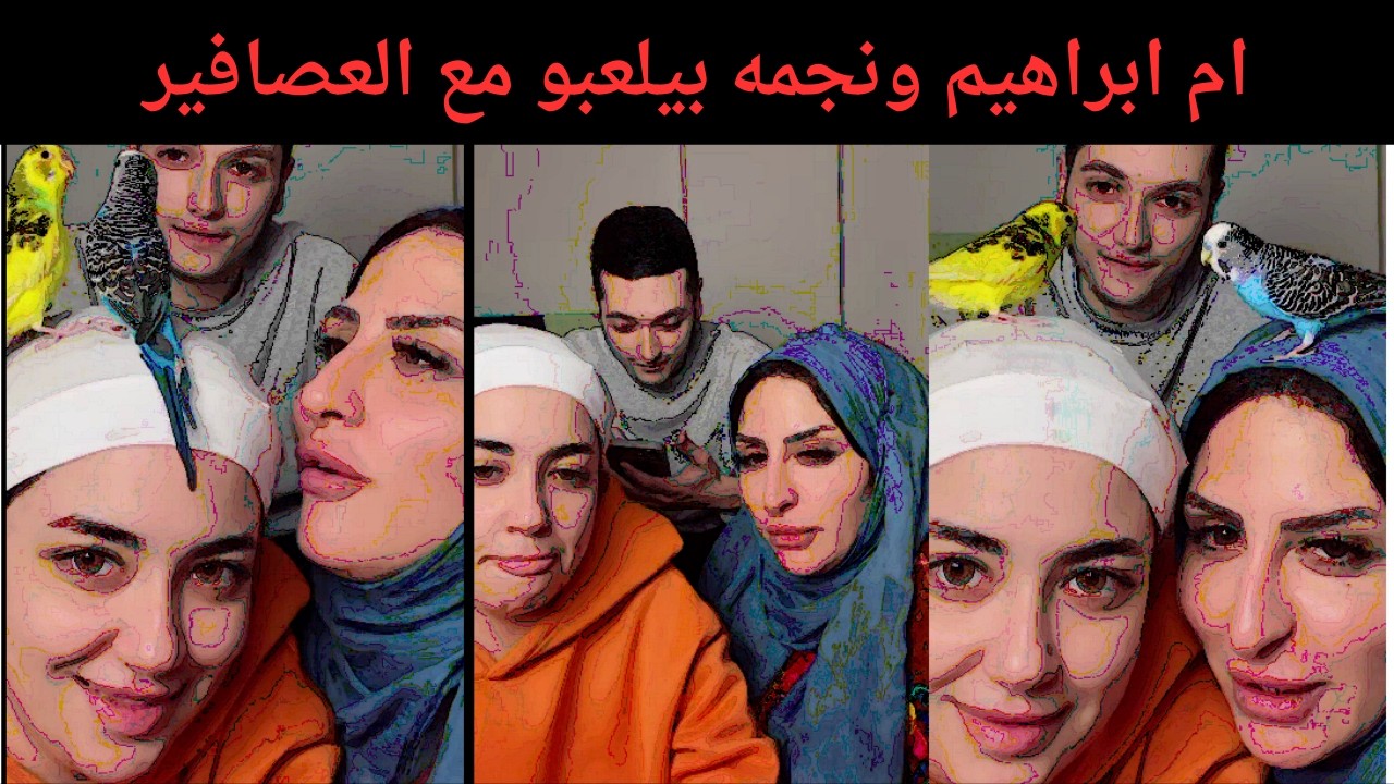 ام ابراهيم ونجمه بيلعبو مع العصافير