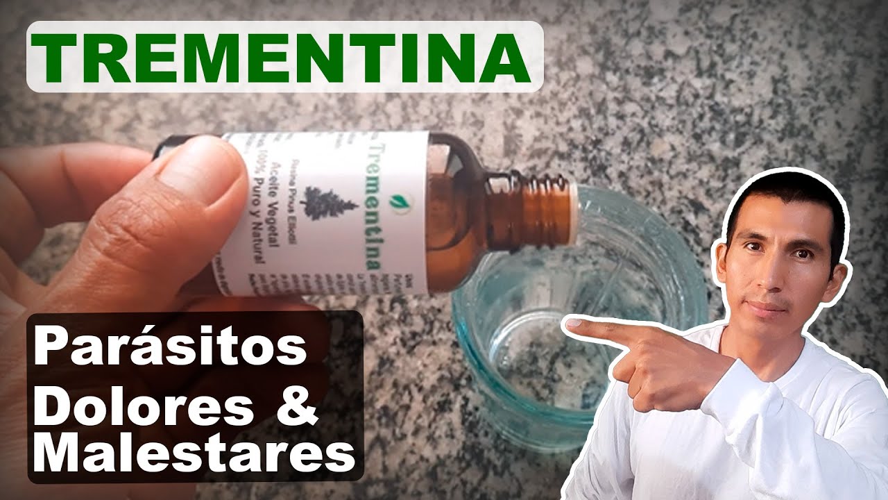 📗 &iquest;Sabes qu&eacute; es la TREMENTINA VEGETAL y para qu&eacute; sirve?