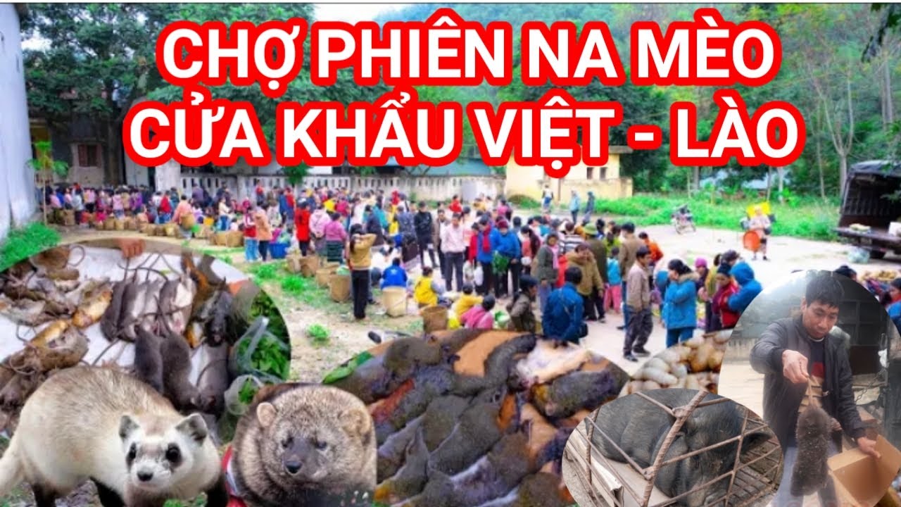 To&agrave;n Cảnh Chợ Phi&ecirc;n Quốc Tế Na M&egrave;o Cửa Khẩu Việt L&agrave;o Đầu Năm 2023.